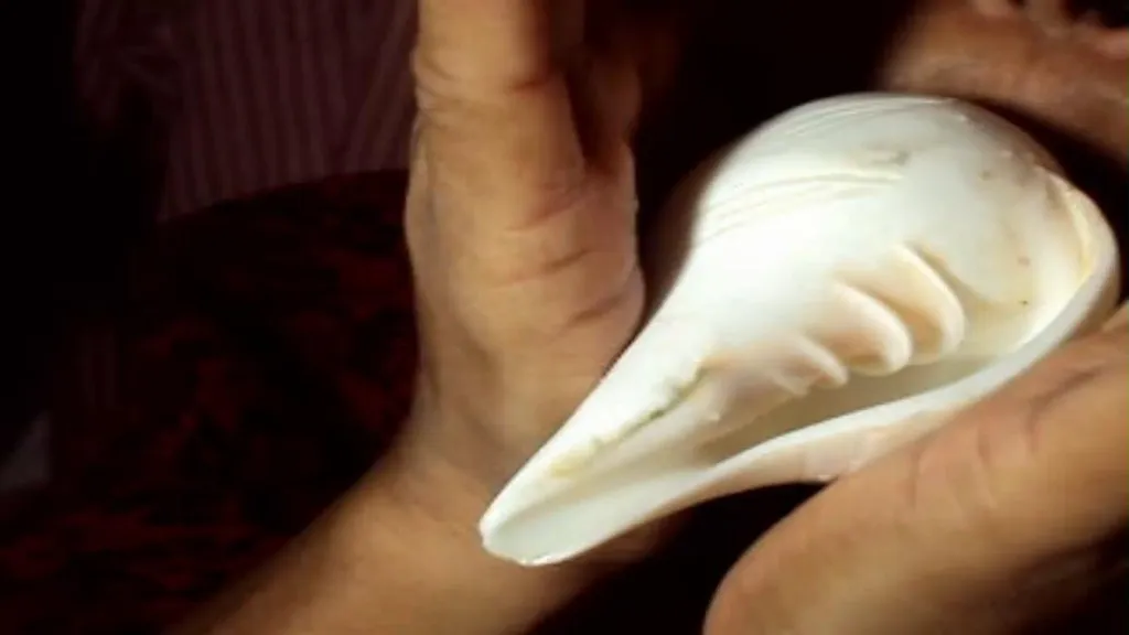 conch blow 